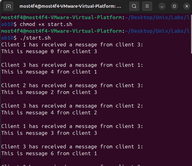 Shared Memory & Semaphore IPC System