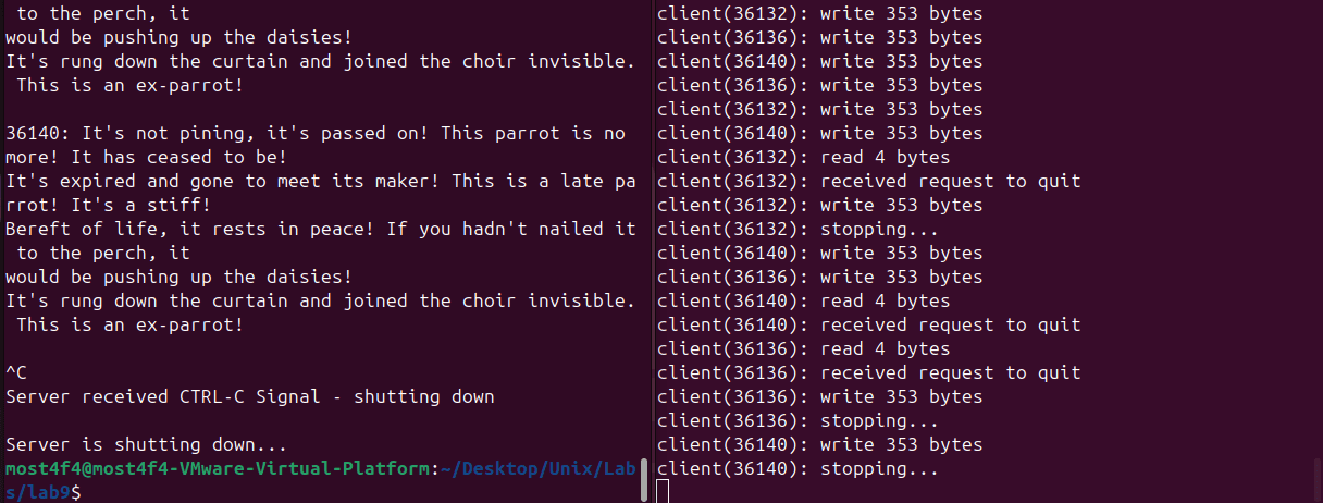Multi-threaded Socket Server-Client