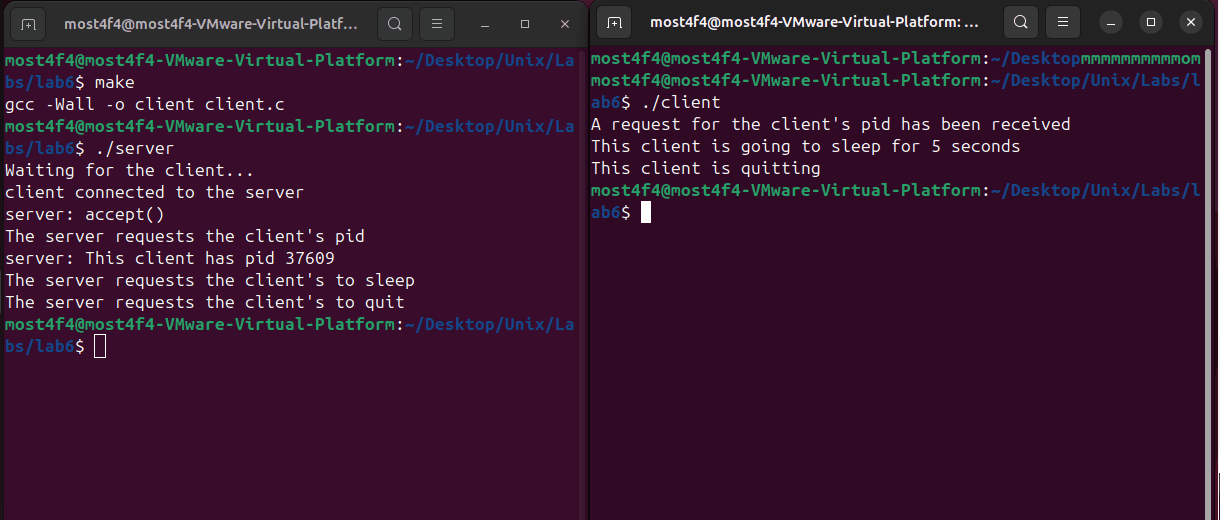 Unix Domain Socket Client-Server