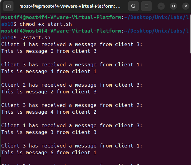 Shared Memory & Semaphore IPC System - Mostafa Hasanalipourshahrabadi